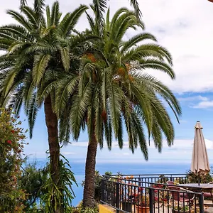  Ferienhaus El Palmeral